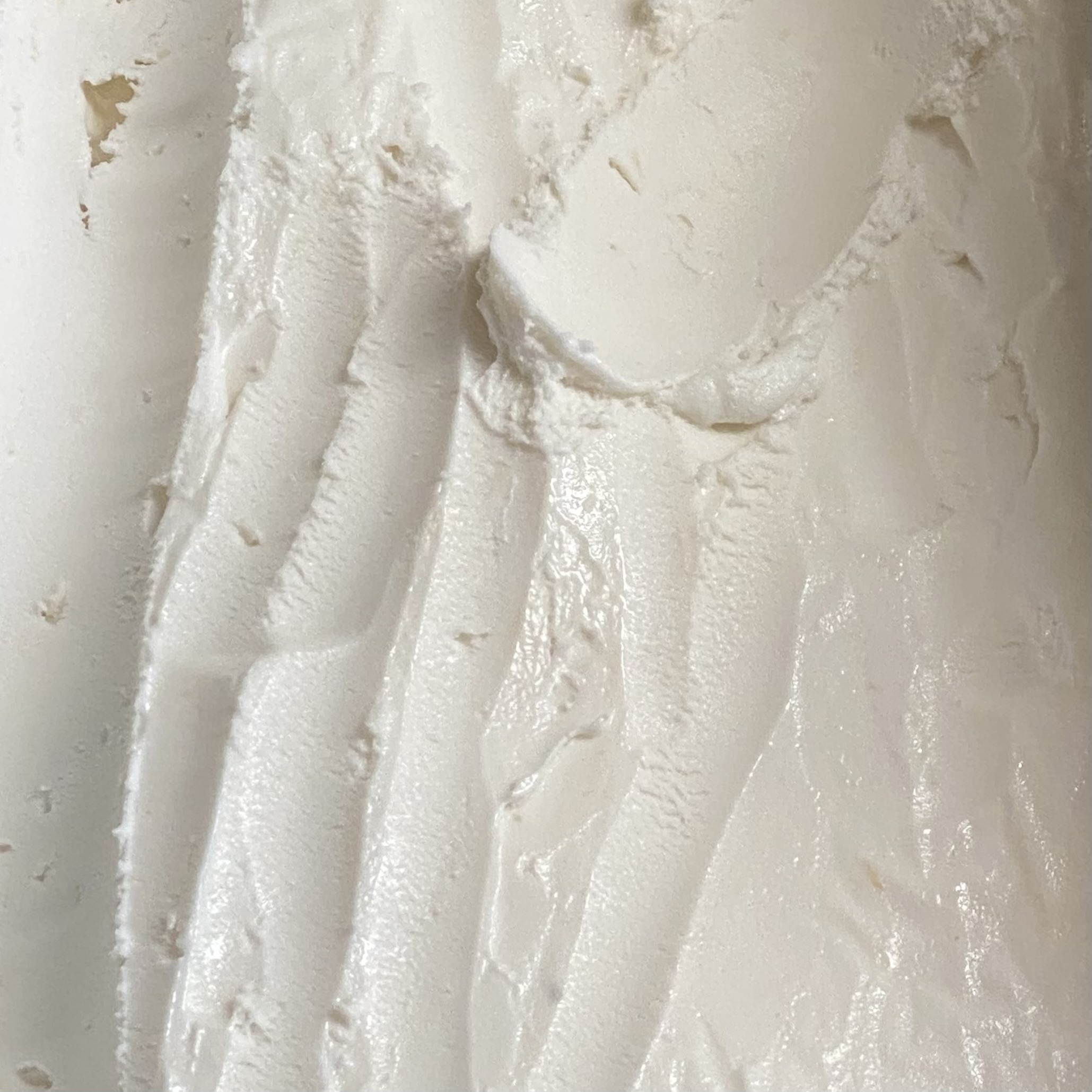 Young Coconut
